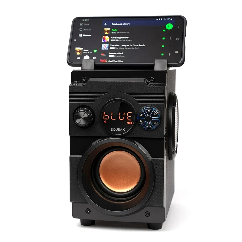 Altavoces Bluetooth Portátiles SQUEAK SQ1001 Negro 20 W